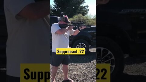 Suppressed .22