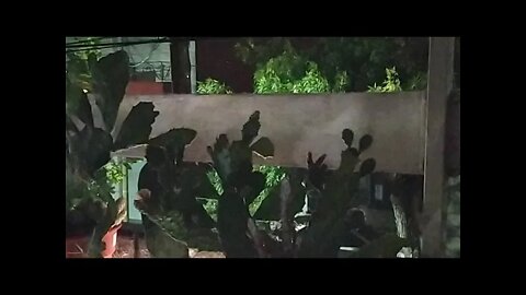 Lluvia En Vivo