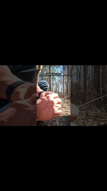 Flying the Tarp: Marlinespike Hitch #Shorts