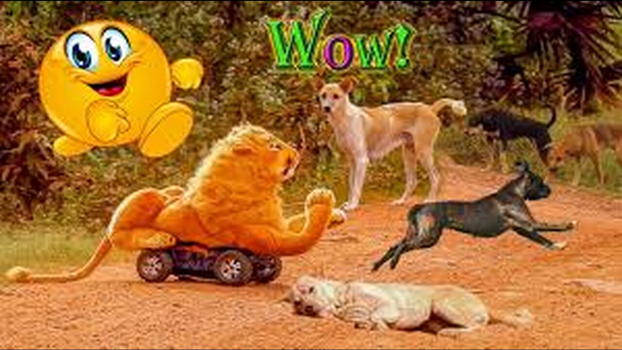 Troll Prank Dog Funny & Fake Tiger & Lion Prank To Dog