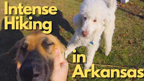 POV: Scrambling on a Mountain | Arkansas
