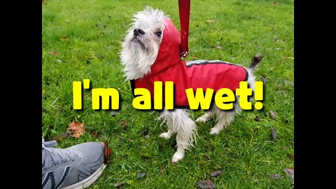 I'm all wet.