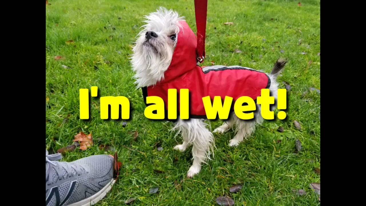 I'm all wet.