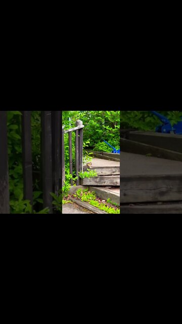 Cute little chipmunk eating
