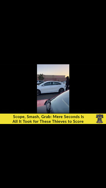 Scope, Smash, Grab: Mere Seconds Is All It Took for These Thieves to Score