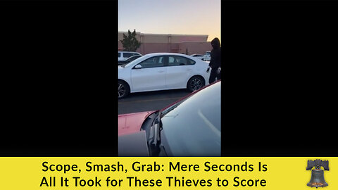 Scope, Smash, Grab: Mere Seconds Is All It Took for These Thieves to Score