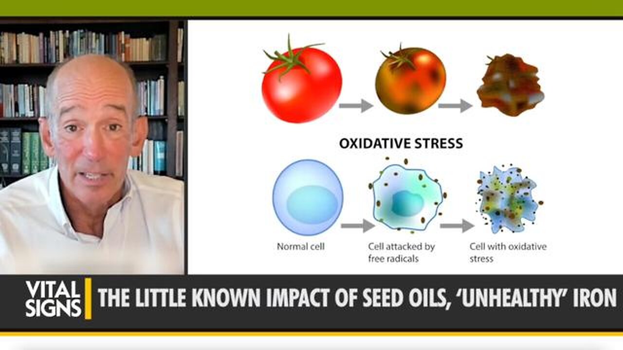 Are Vegetable Oils Killing Us We Swapped Them in for Animal Fats 50 Years Ago - Dr. Mercola