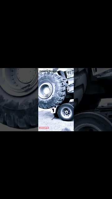 #shorts #2022 funny,prank,funjokes,dad jokes,funny memes,funny video,fun,laughing,funny animal,knock