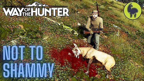 Not To Shammy, Transylvania | Way of the Hunter (PS5 4K)