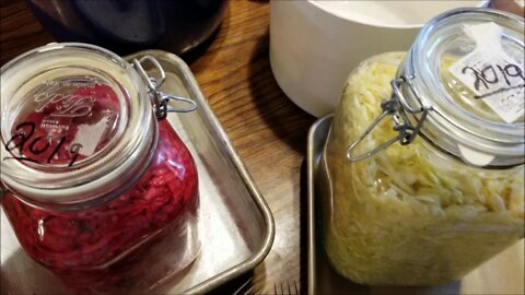 Sauerkraut: The Unveiling!