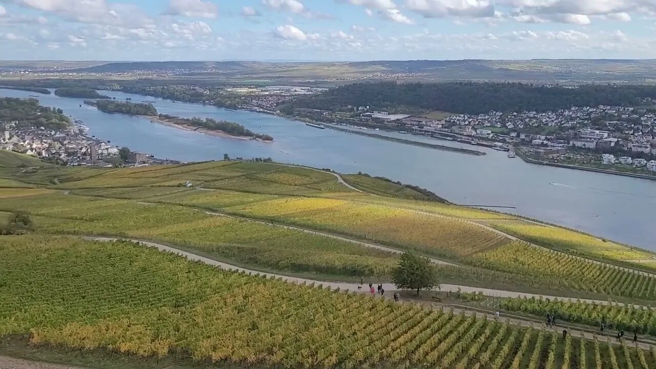 Rüdesheim, die Weinberge und der Rhein von oben, wundervoll / German vineyards and Rhine from above