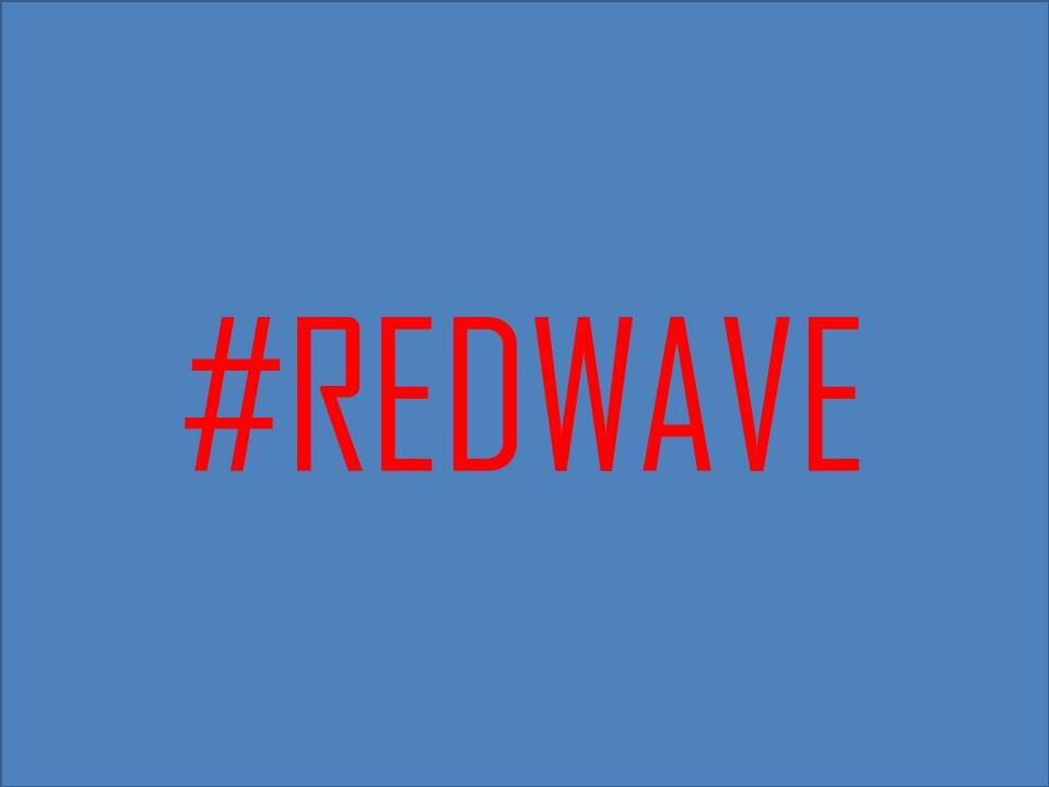 #REDWAVE in Blue Waters | In twenty24, it's a slim majority.