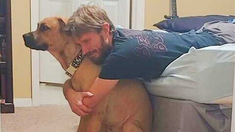 The Unconditional Love Of Dogs and Their Humans Is Incredible Cute Animals Show Love