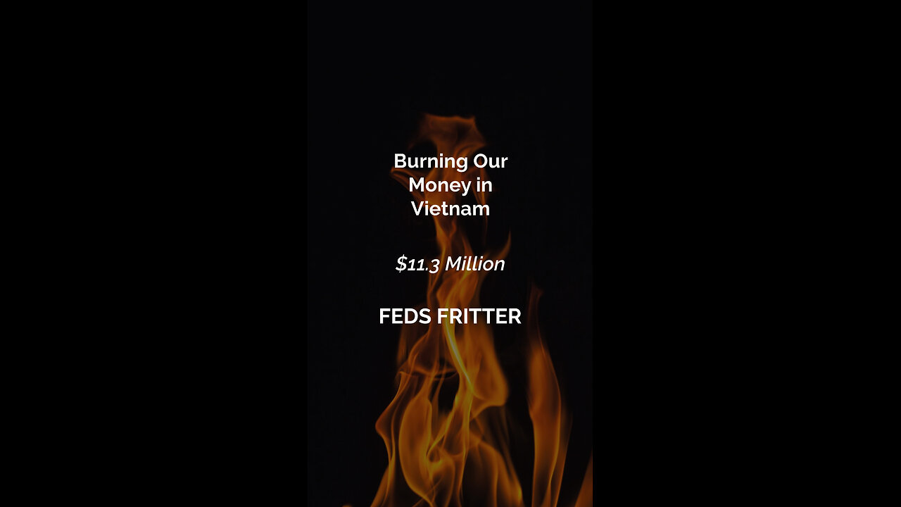 COS MI - Feds Fritter 24: Burning Our Money in Vietnam