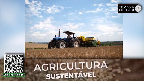 Embrapa aponta o consorcio milho braquiária como prática para aumentar a produtividade - RZ