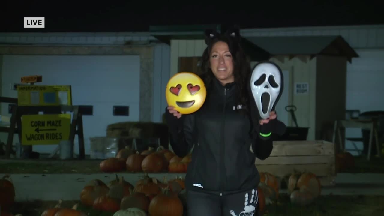 Trick or Treat Forecast