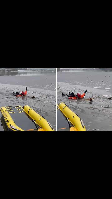 Firefighters rescue dog from frozen river