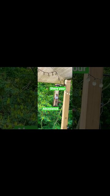 Morning Zen Share your Abundance #shorts