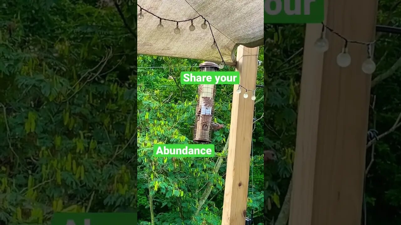 Morning Zen Share your Abundance #shorts