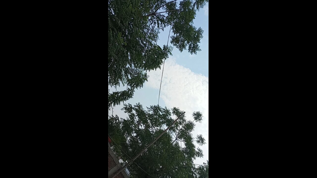 weather ☁️ cool