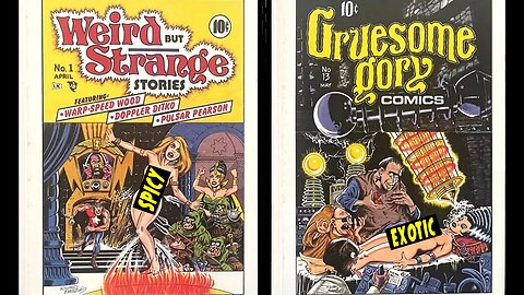 Illustrated ADULT Sci-Fi FANTASY Art Magazine That Influenced Metal Hurlant And Heavy Metal