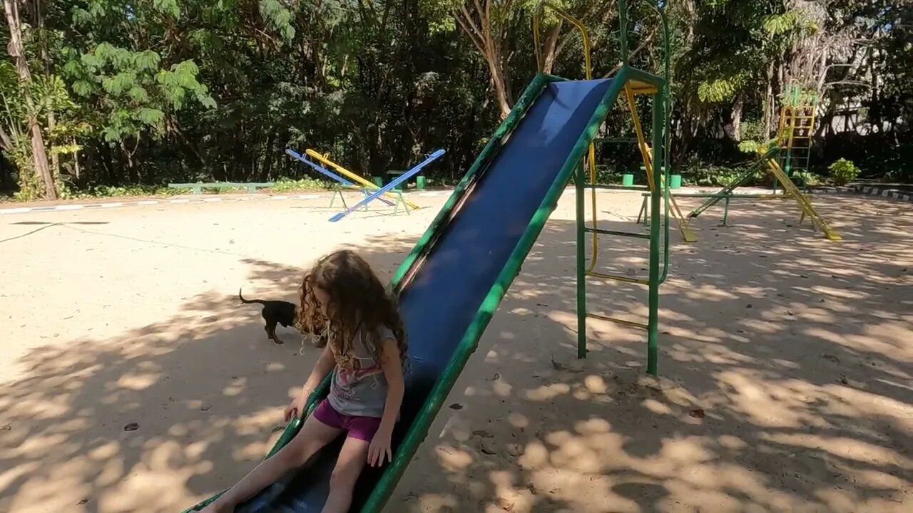 xdtrr