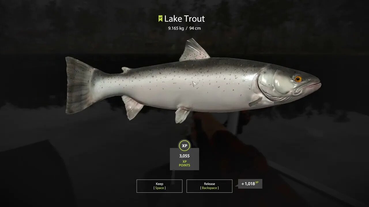 Russian Fishing 4 Kuori lake Lake Trout 9.165 Kg