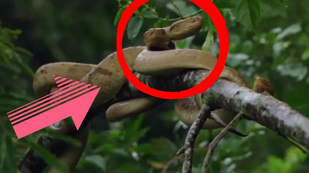 Top 3 places not to visit (Creepy Daisy Daisy) PART 1