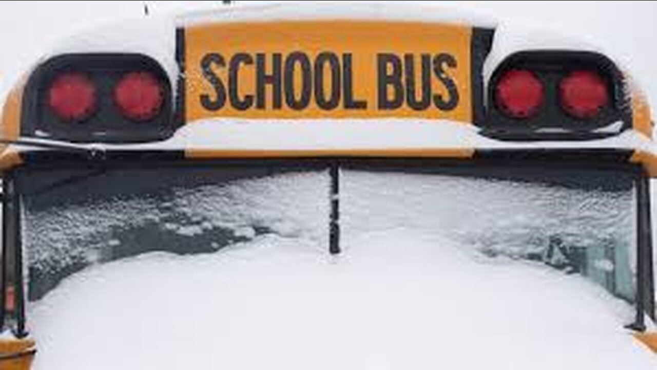 Some GTA school buses cancelled ahead of expected storm