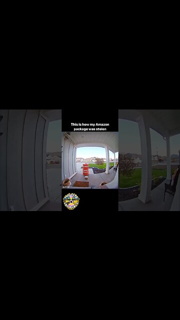Porch Pirates of the Caribbean! 🏴‍☠️ #porchpirate #packagethief #stolen #amazon #caughtoncamera