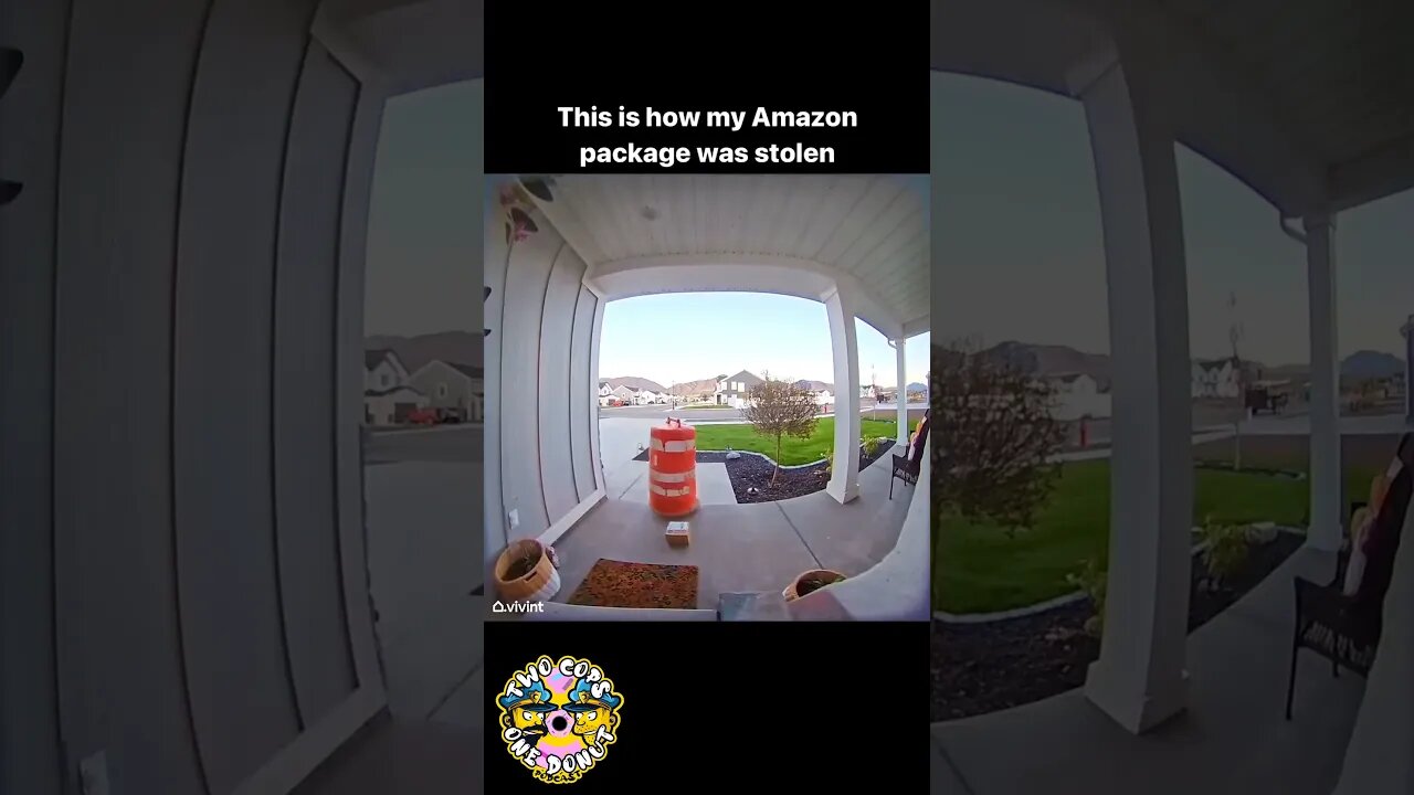 Porch Pirates of the Caribbean! 🏴‍☠️ #porchpirate #packagethief #stolen #amazon #caughtoncamera