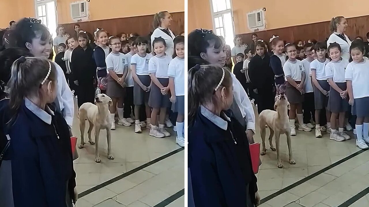 Loud Pup Proudly Sings The Verses Of The Argentine National Anthem