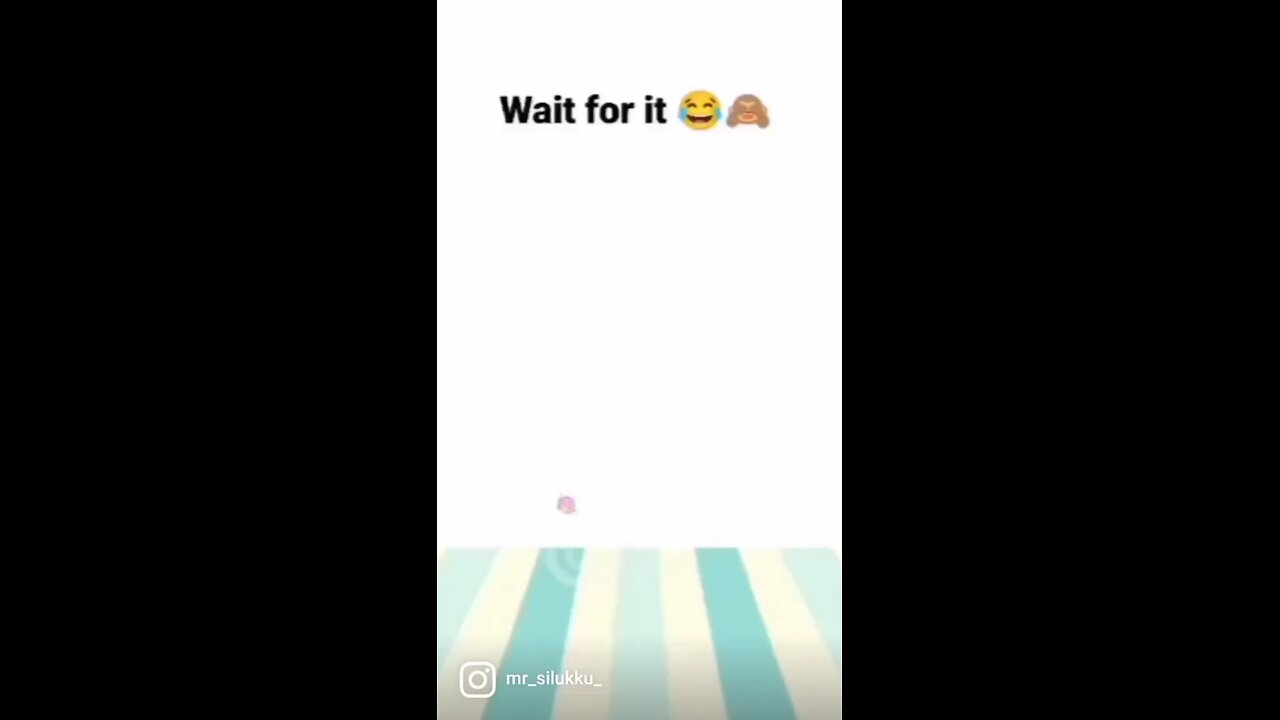 😂 small boys fun😂😜