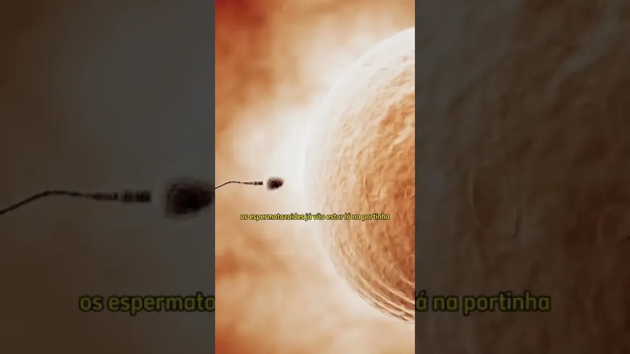 Posso engravidar no final da menstruação?