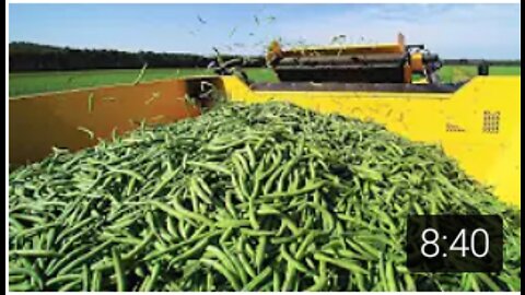 Amazing Modern Green Bean Harvesting Machine,Green Bean and Japan Soybean