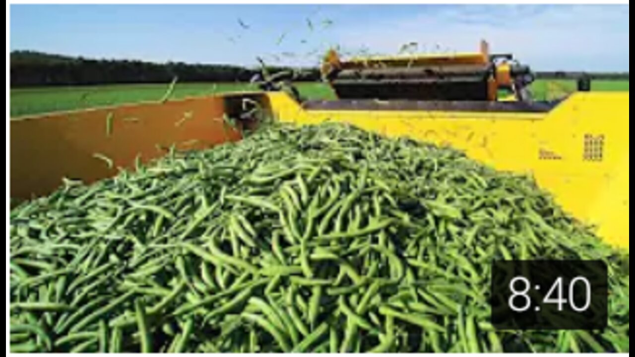 Amazing Modern Green Bean Harvesting Machine,Green Bean and Japan Soybean