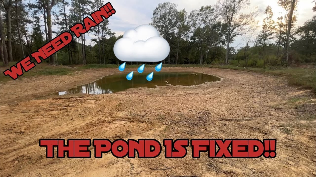 Got the Pond Fixed!! I Think..