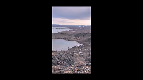 Genesis of Life: Unraveling the Origins on Earth