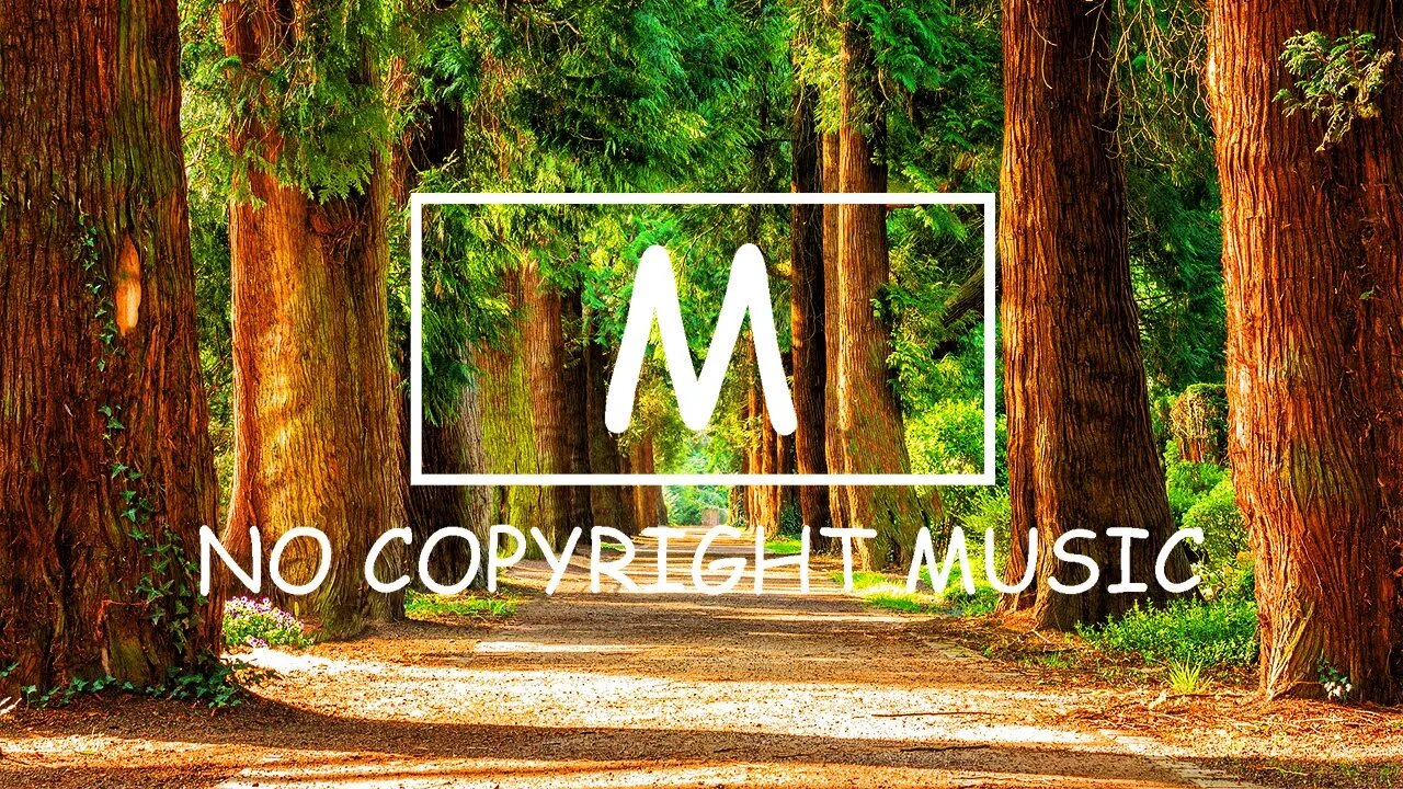 Markvard - Summer Wild（Mm No Copyright Music）