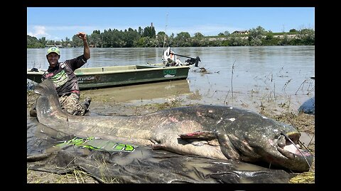 Italian Angler’s Incredible 9-Foot Wels Catfish Could Set a New IGFA World Record