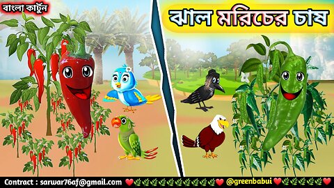 ঝাল মরিচের চাষ । Tuntunir cartoon । Thakurmarjhuli । Bangla cartoon।