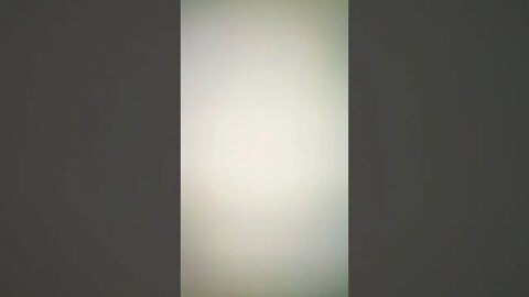 True Freeman and Donna