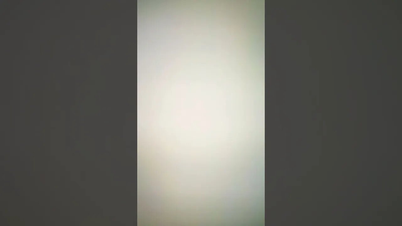 True Freeman and Donna