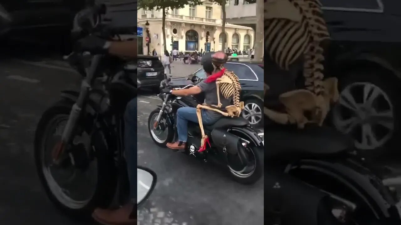 Beautiful Girlfriend 😹#shorts