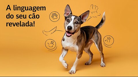 Decifre a Linguagem Corporal dos Cães e Fortaleça o Vínculo com Seu Pet!