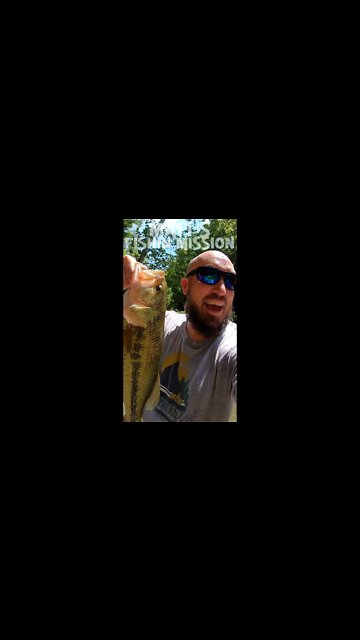 Largemouth bass in a WATERFALL! ( short version )