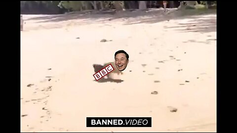 VIDEO: Elon Owns Hapless BBC Reporter