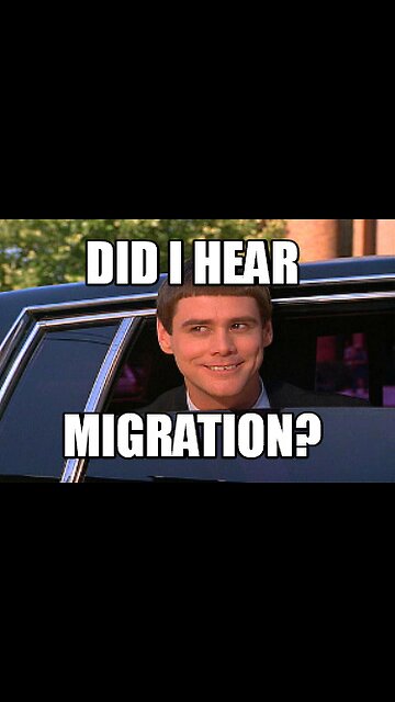 Illegal Migrants D-Day Landing On Spanish Beach