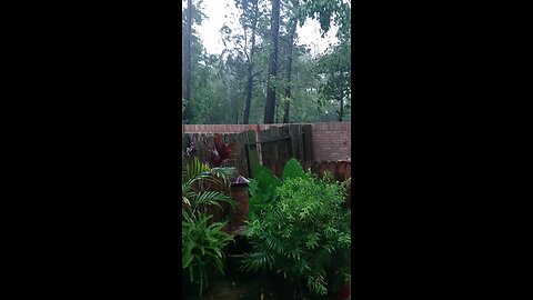 Riding out Hurricane Beryl 7/8/24 Humble TX