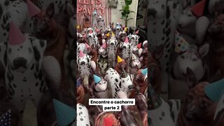 Encontrei o cachorro